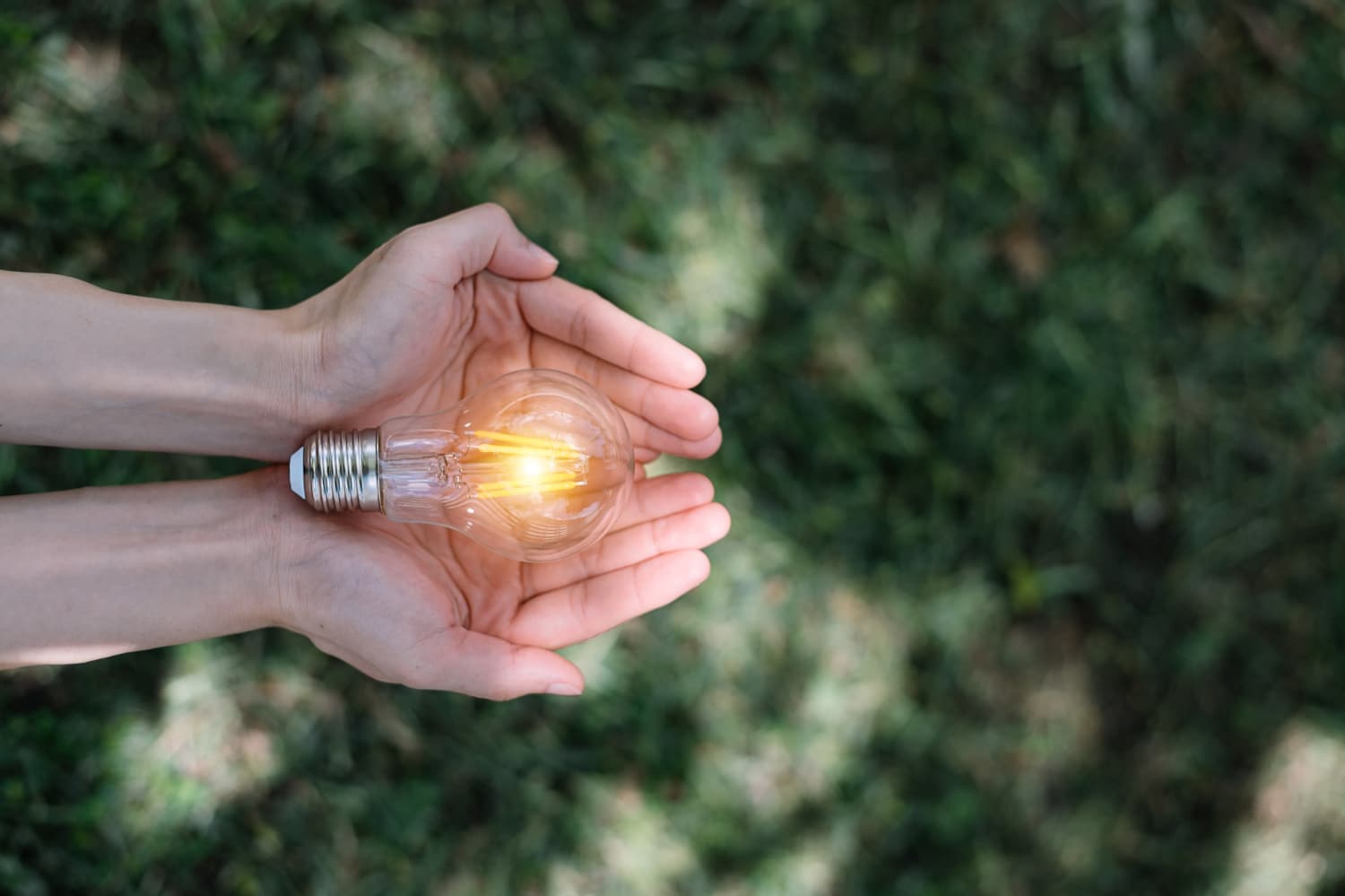 Two hands gently cradle a glowing light bulb above a green grassy background.